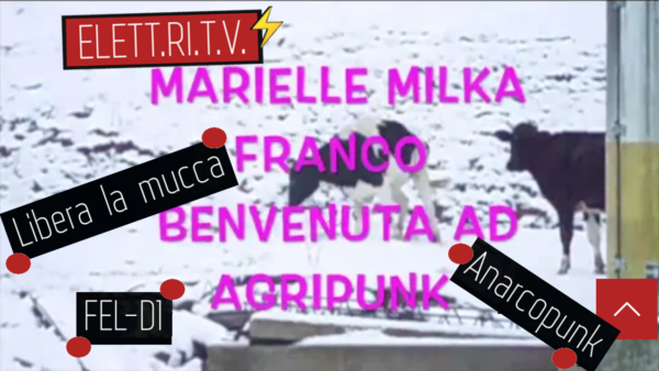 libera_la_mucca_fel_d1_anarcopunk_danza_benvenuto_marielle_ad_agripunk_onlus_bucine_toscana_rifugio_sociale_animali